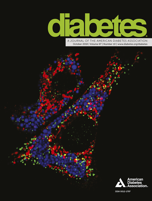 Diabetes Cover Image for Volume 67, Issue 10