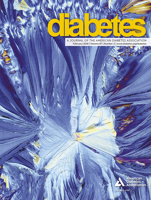 Diabetes Cover Image for Volume 67, Issue 2