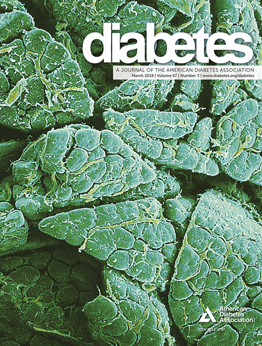 Diabetes Cover Image for Volume 67, Issue 3