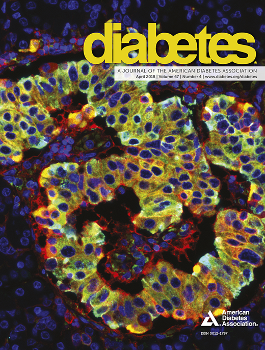 Diabetes Cover Image for Volume 67, Issue 4