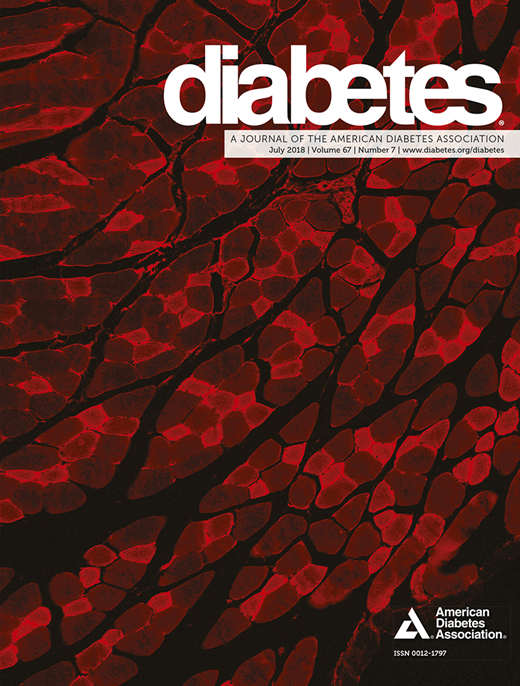 Diabetes Cover Image for Volume 67, Issue 7