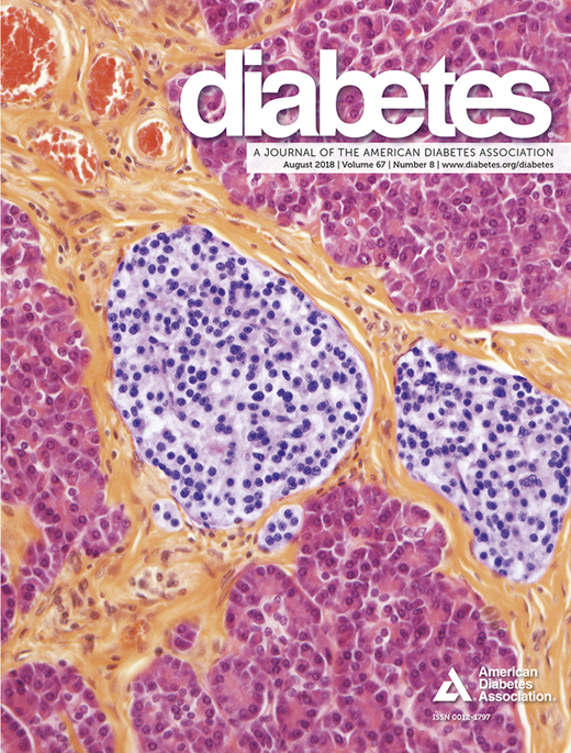 Diabetes Cover Image for Volume 67, Issue 8