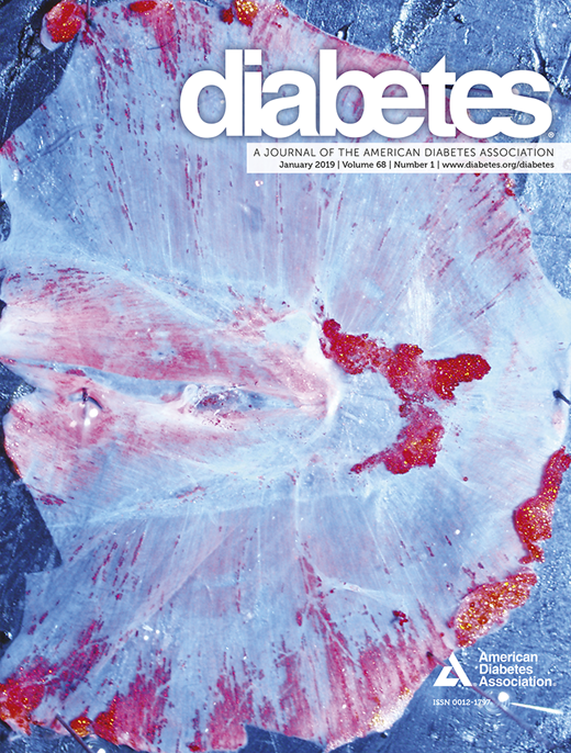 Diabetes Cover Image for Volume 68, Issue 1