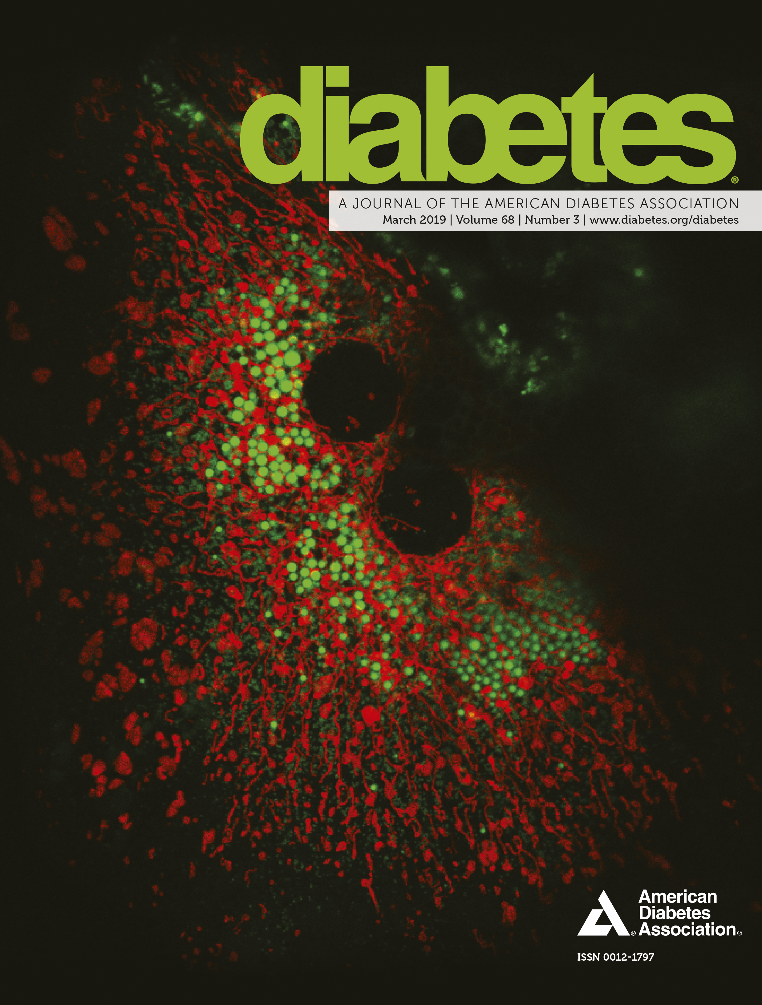 Issue cover image