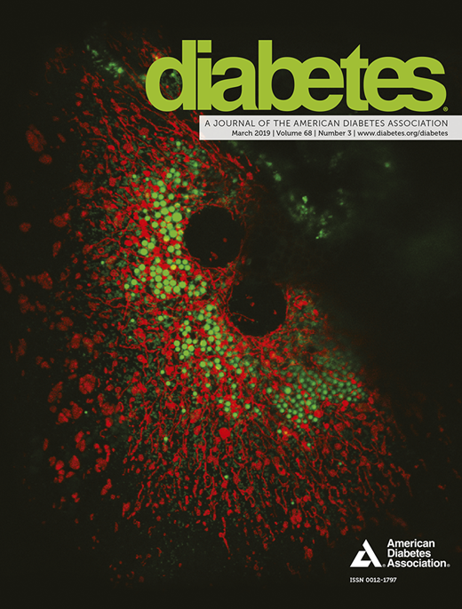 Diabetes Cover Image for Volume 68, Issue 3