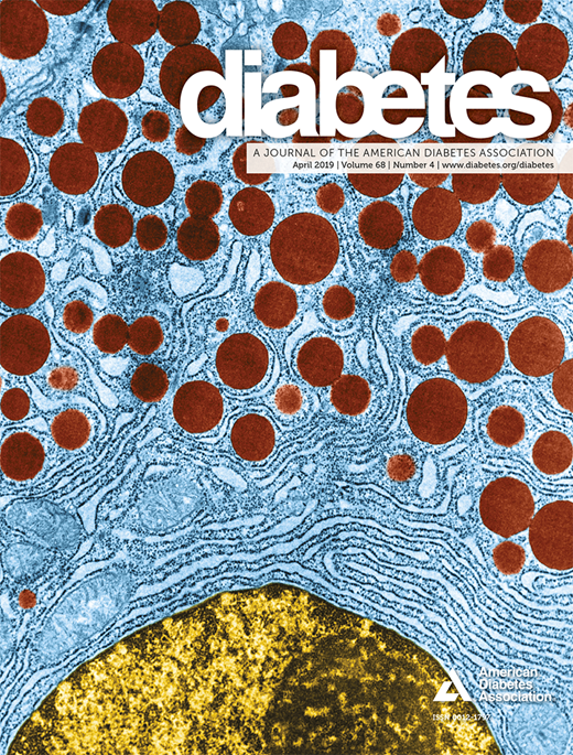 Diabetes Cover Image for Volume 68, Issue 4