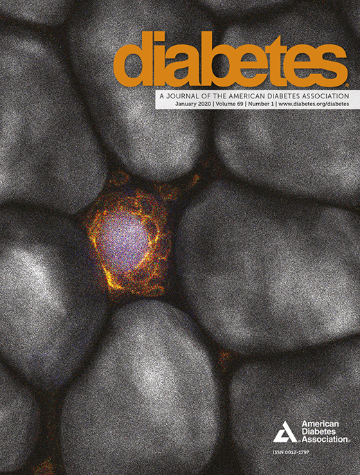 Diabetes Cover Image for Volume 69, Issue 1