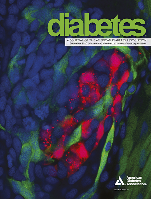 Diabetes Cover Image for Volume 69, Issue 12