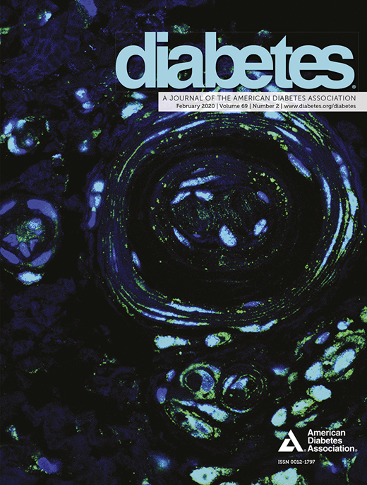 Diabetes Cover Image for Volume 69, Issue 2