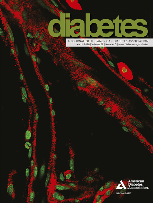 Diabetes Cover Image for Volume 69, Issue 3
