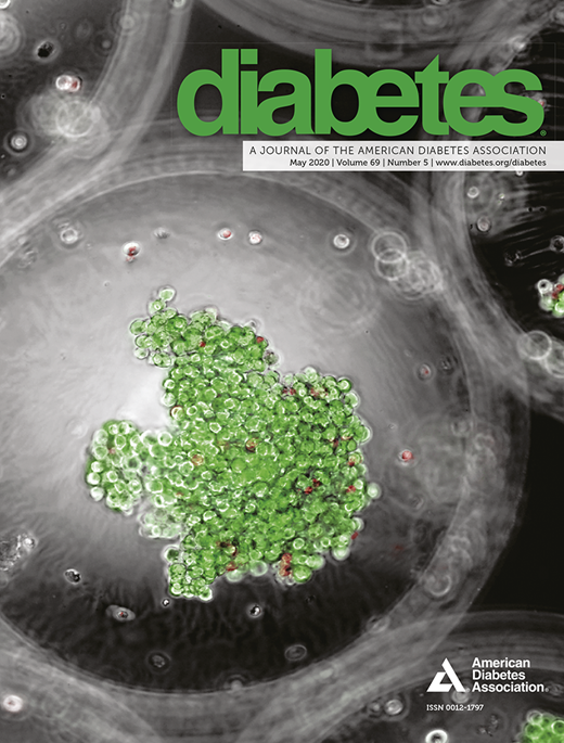 Diabetes Cover Image for Volume 69, Issue 5