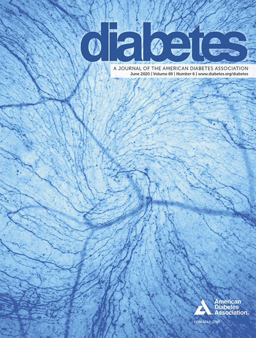 Diabetes Cover Image for Volume 69, Issue 6