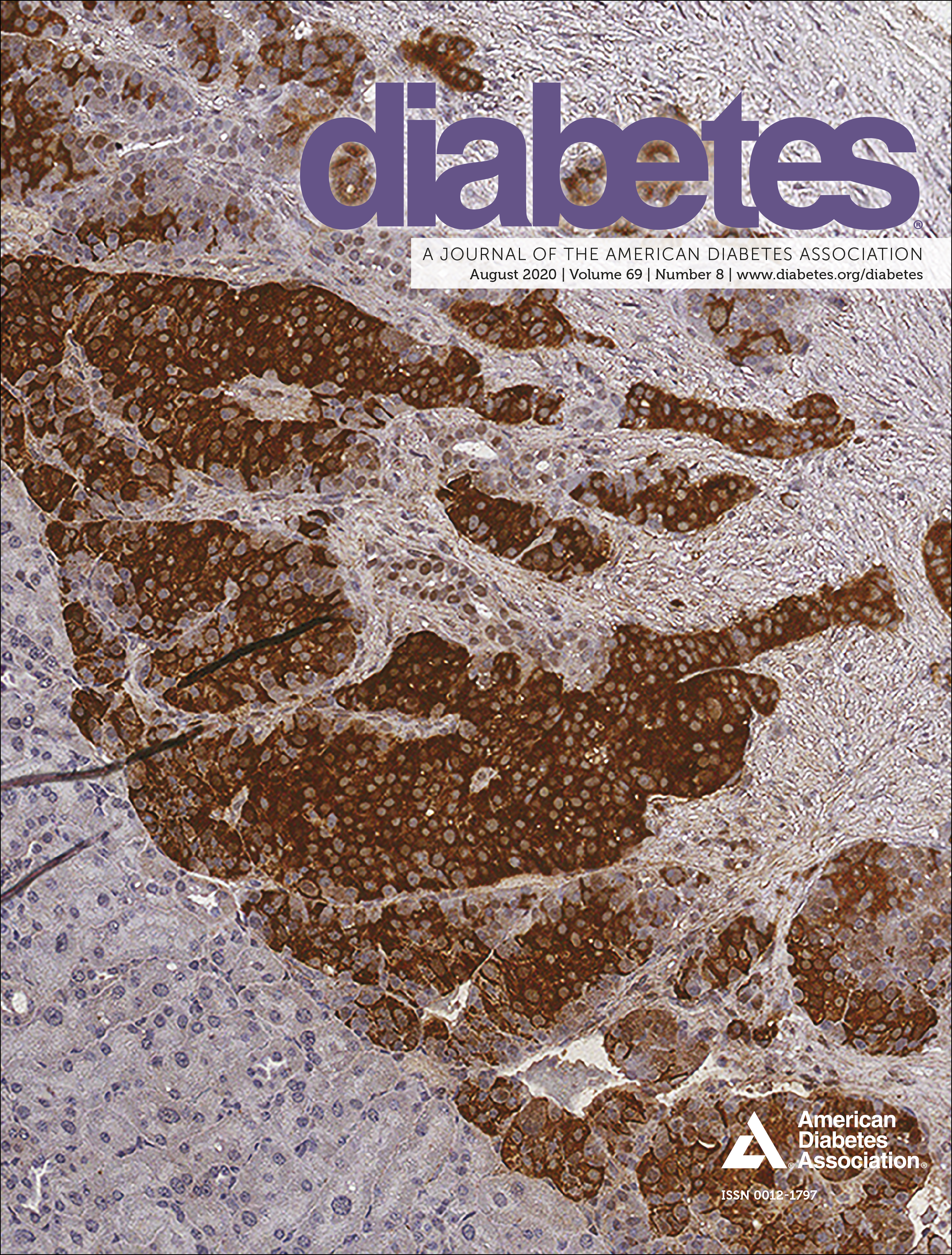 Issue cover image