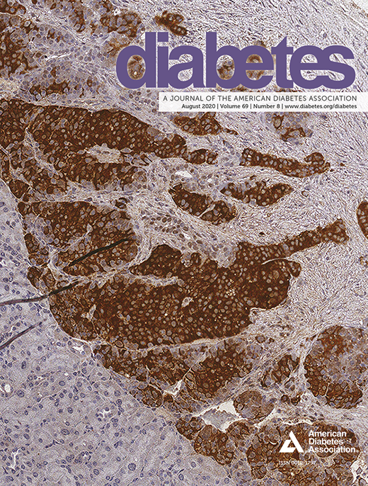 Diabetes Cover Image for Volume 69, Issue 8