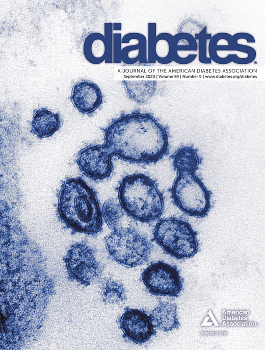 Diabetes Cover Image for Volume 69, Issue 9