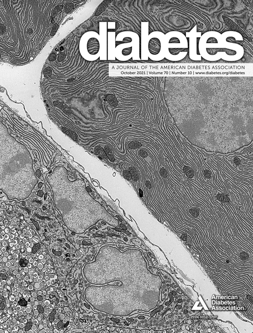 Diabetes Cover Image for Volume 70, Issue 10