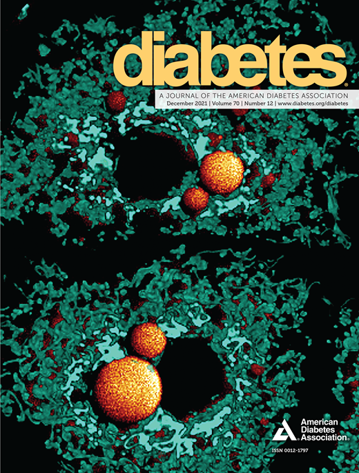 Diabetes Cover Image for Volume 70, Issue 12