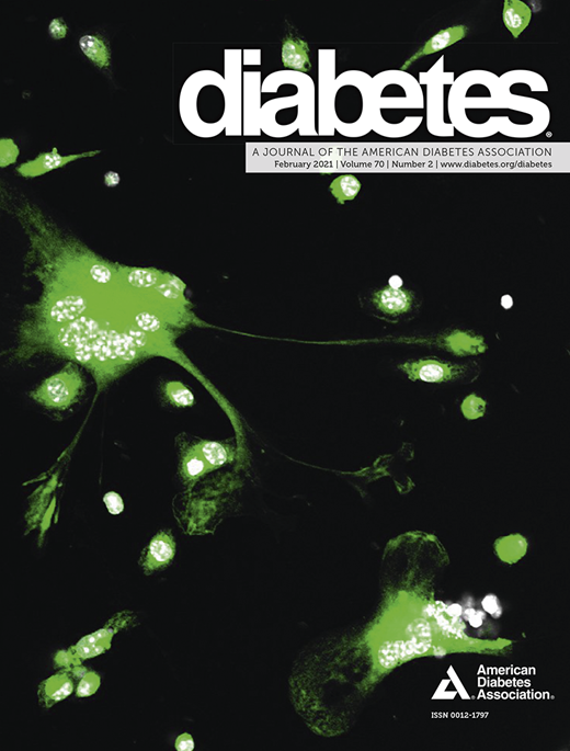 Diabetes Cover Image for Volume 70, Issue 2