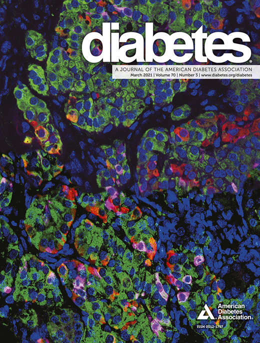 Diabetes Cover Image for Volume 70, Issue 3