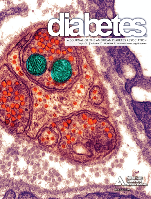 Diabetes Cover Image for Volume 70, Issue 7