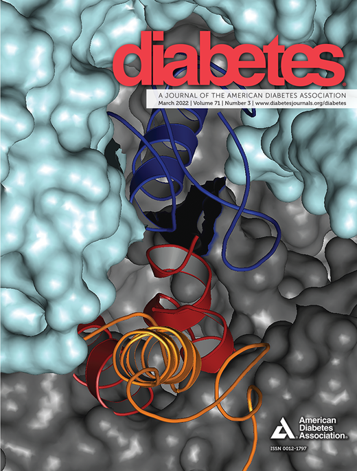 Diabetes Cover Image for Volume 71, Issue 3