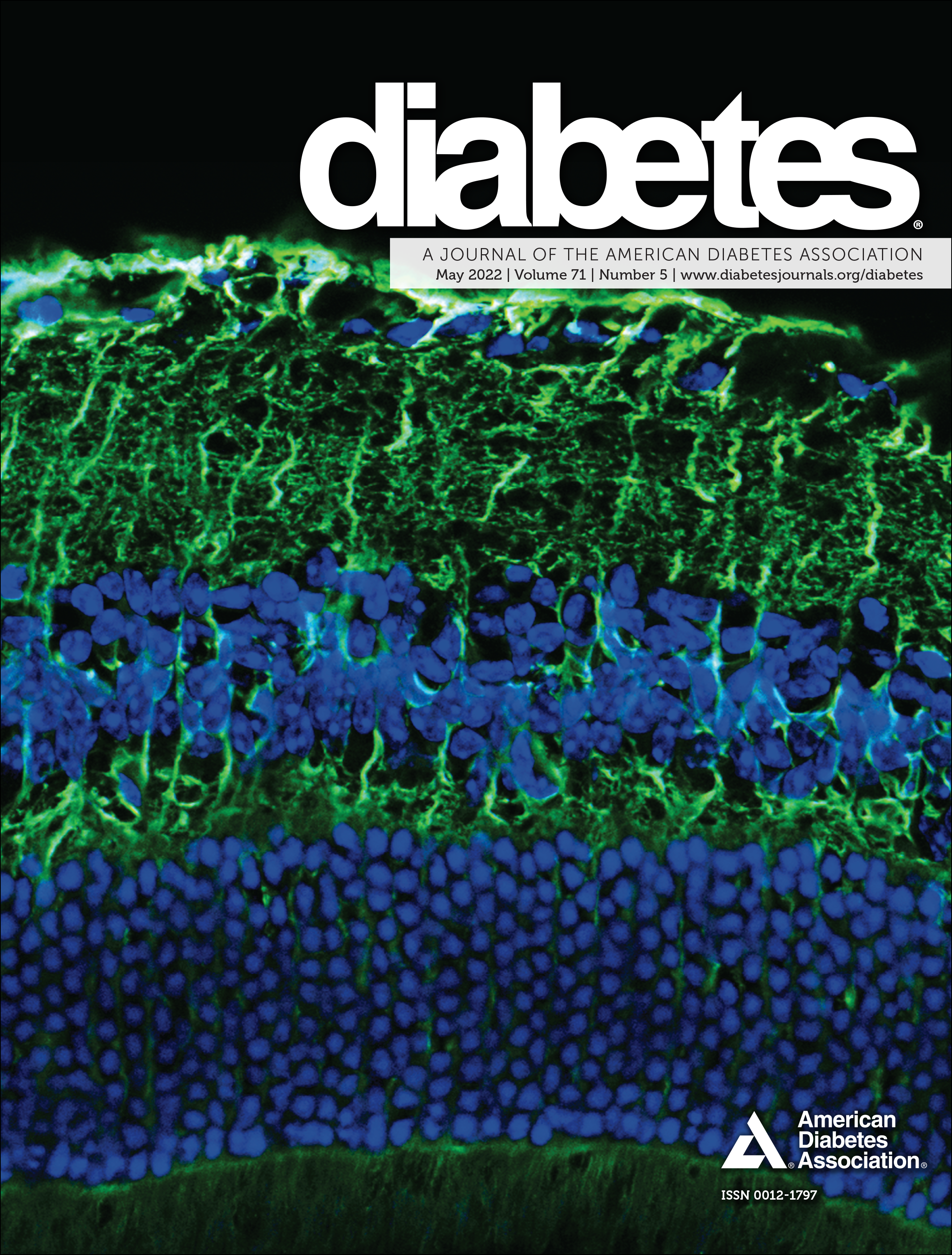 Issue cover image