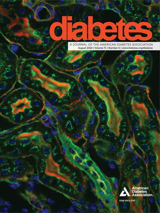 Diabetes Cover Image for Volume 71, Issue 8