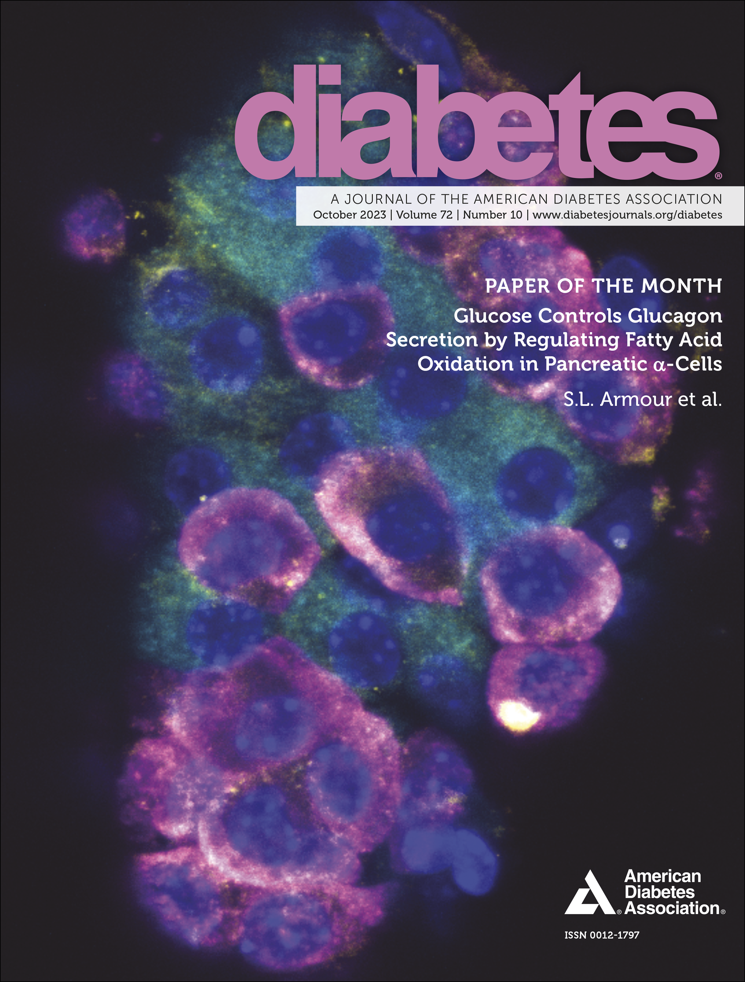 Issue cover image