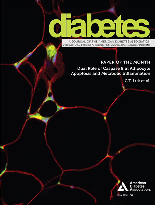 Diabetes Cover Image for Volume 72, Issue 12