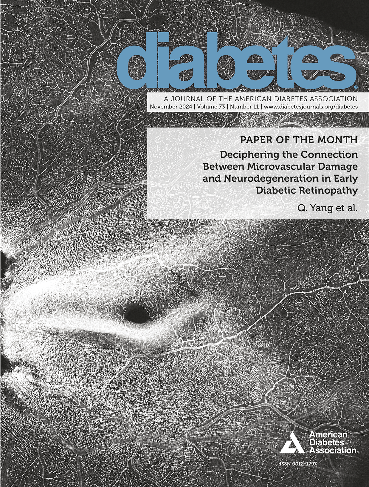 Issue cover image