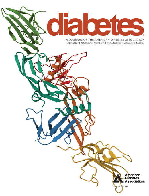 Diabetes Cover Image for Volume 73, Issue 4
