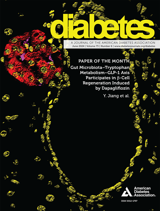 Diabetes Cover Image for Volume 73, Issue 6