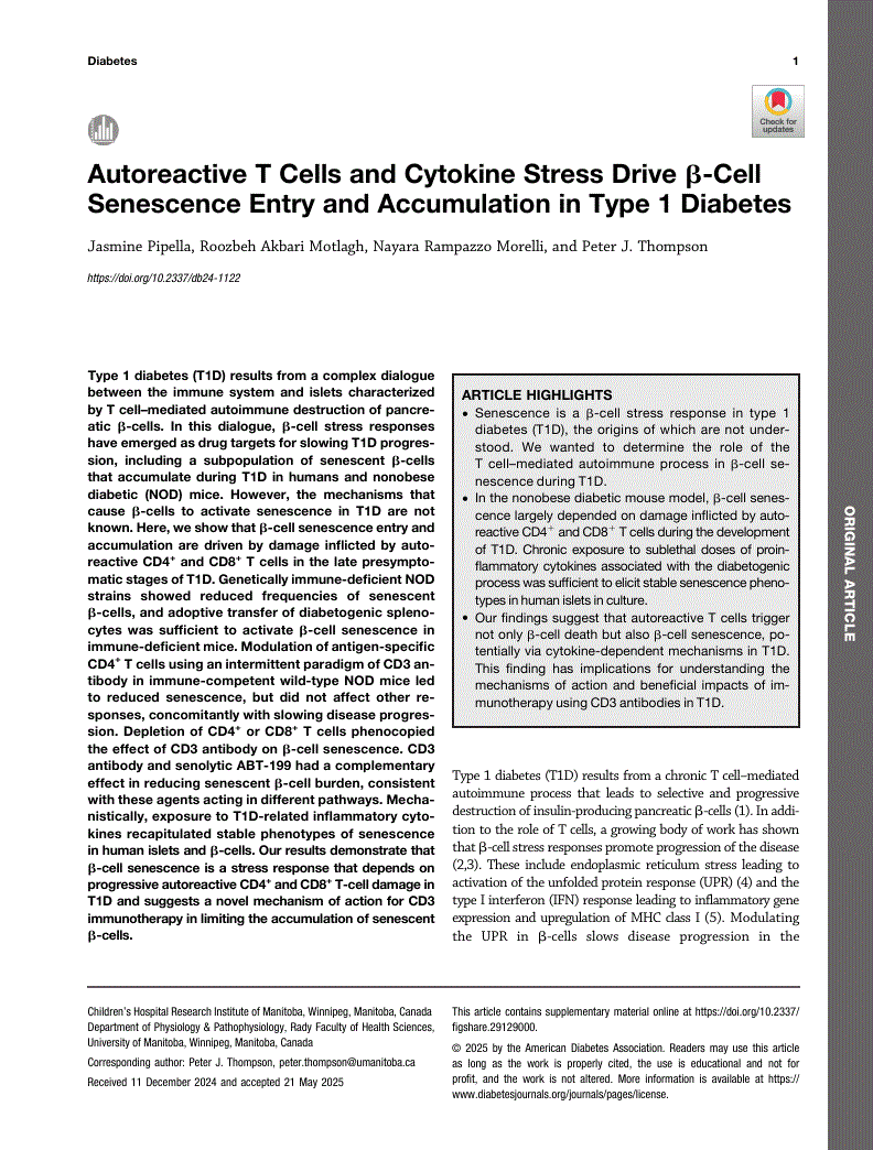 First page of Autoreactive T Cells and Cytokine Stress Drive β-Cell Senescence Entry and Accumulation in Type 1 Diabetes