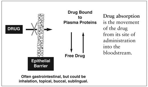 Figure 1. Graphic depiction of a theoretical drug absorption interaction.