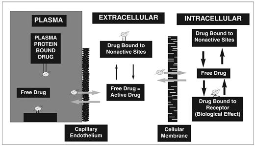 Figure 2. Graphic depiction of a theoretical drug distribution interaction.