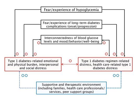 Figure 1. Factors causally linked to type 1 diabetes–related distress.
