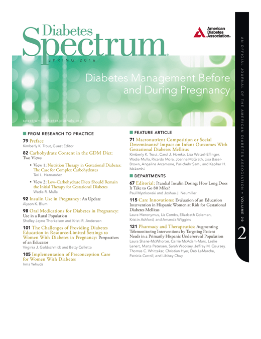 Diabetes Spectrum Cover Image for Volume 29, Issue 2
